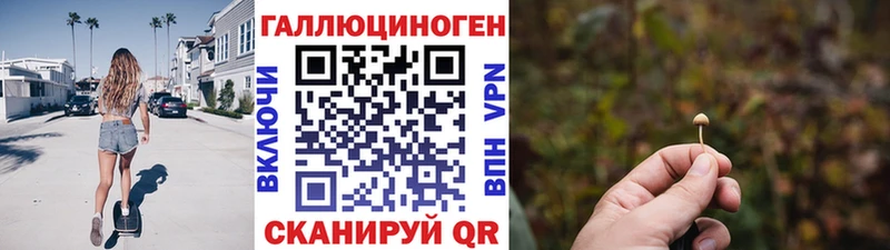 Псилоцибиновые грибы Cubensis Динская